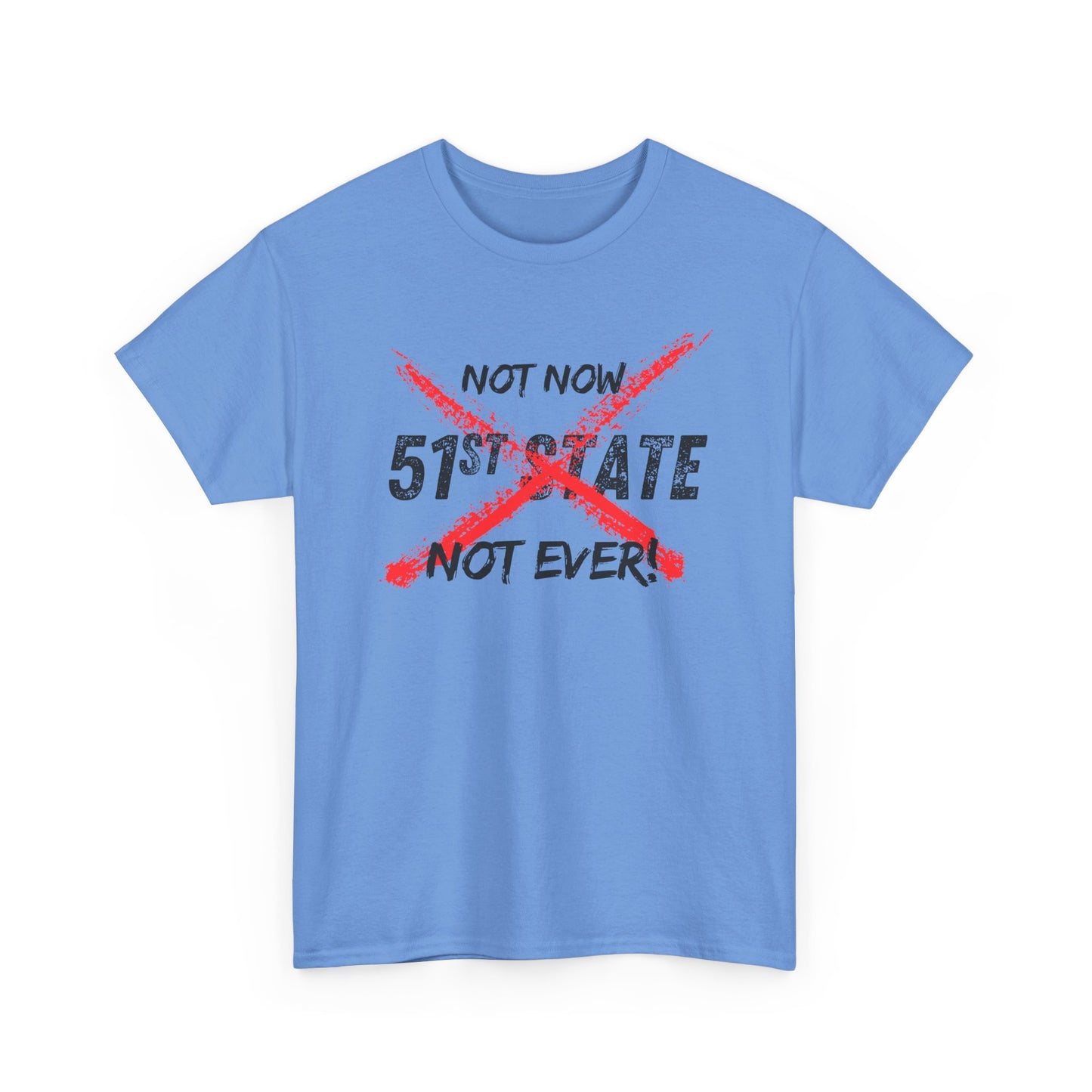 Not Now, Not Ever - Unisex Tee